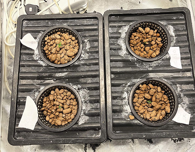 Горшки с керамзитом