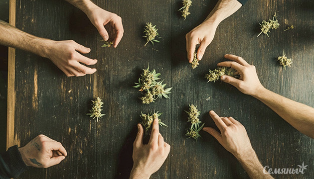 Типы стоунеров