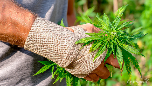 Как КБД может помочь облегчить боль