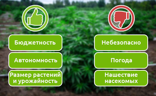 Оценка эффективности аутдорного грова