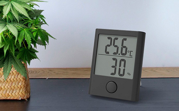 Влажность и жара: увеличение количества трихом в каннабисе