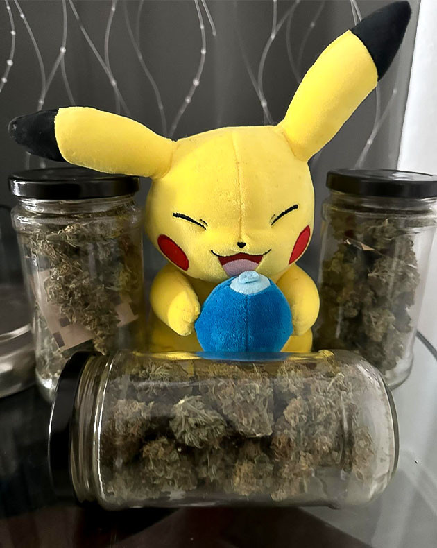 Итоги грова Gelato Auto