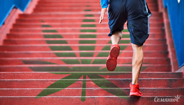 Занятие спортом