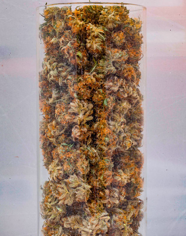 Сбор урожая и впечатления от гровера Харвест