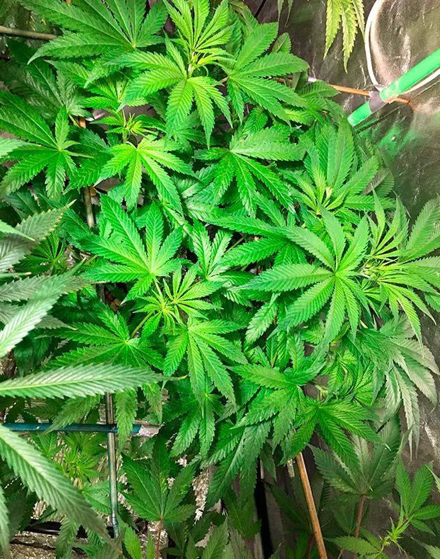 Переезд в бокс