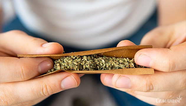 Как сделать Свишер Блант