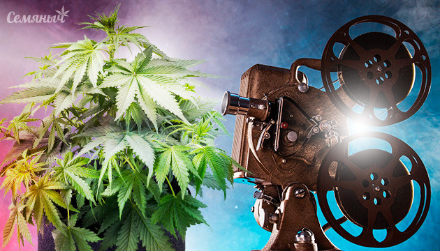 Документальные фильмы о марихуане