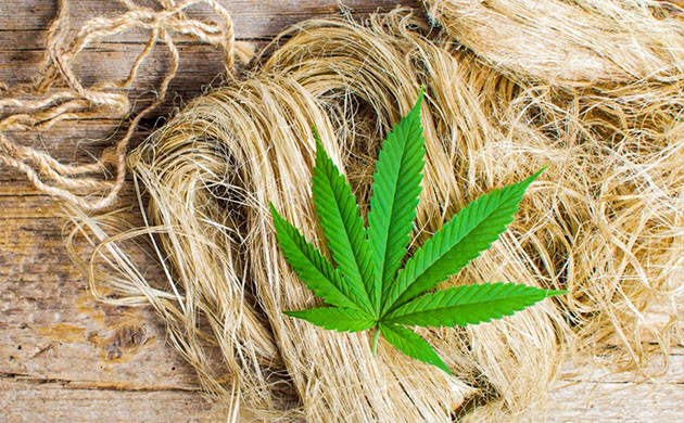 Получение конопляного волокна Конопляное волокно