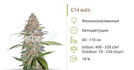 G14 Auto от FastBuds