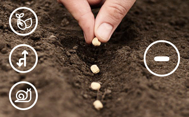 Высадка семян