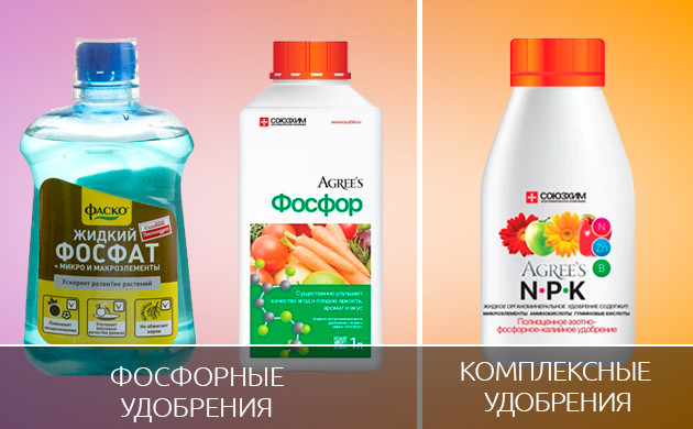 Фосфорные и комплексные удобрения Фаско Фосфат и Фосфор от Agree’s