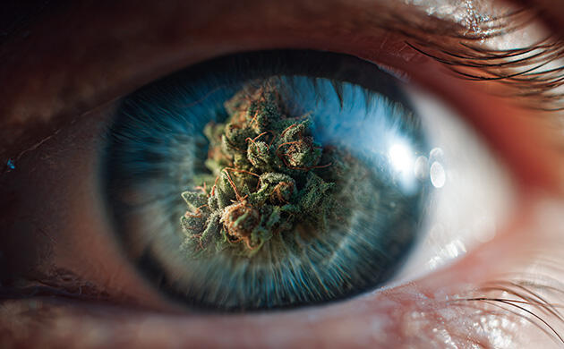 Каннабис и глаукома