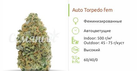 Auto Torpedo от VIP Seeds