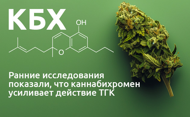 Терапевтический потенциал каннабихромена