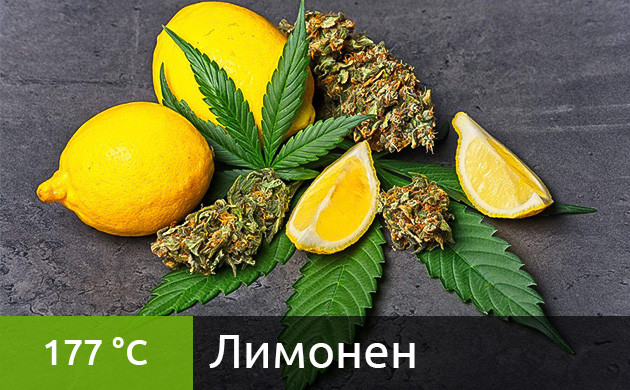 Рекомендуемая температура нагрева для лимонена в вейпе (177 °C)