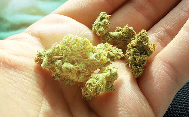 Воздействие света на ТГК