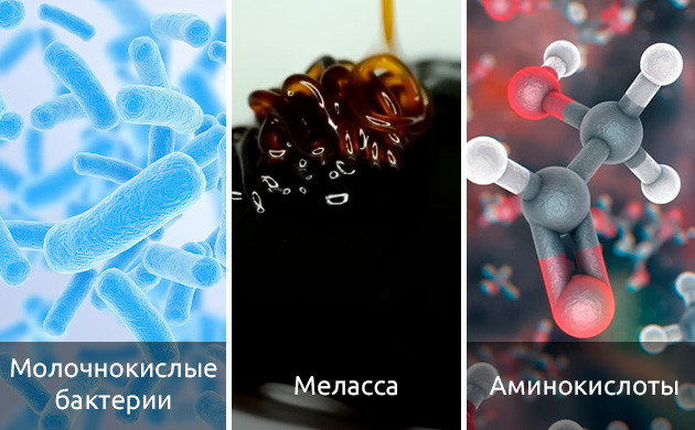 Раскрытие потенциала трихом: роль добавок в каннабисе