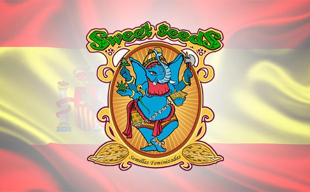 Sweet Seeds – представитель европейской селекции