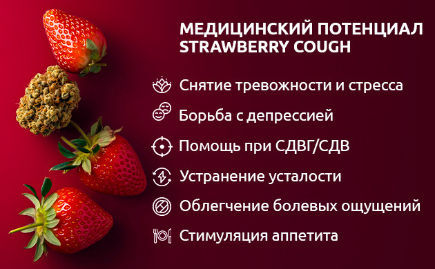 Медицинские свойства Strawberry Cough