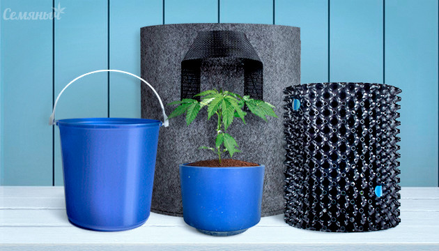 Горшки для каннабиса