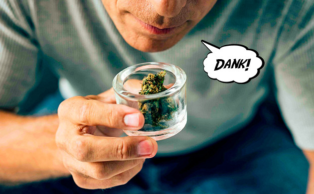 Градации качества шишек Категории качества соцветий