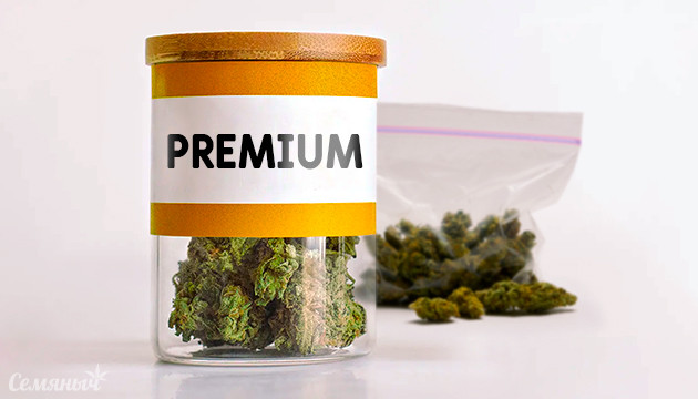 Признаки качественных шишек конопли Признаки качественных соцветий марихуаны