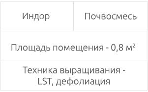 Условия выращивания