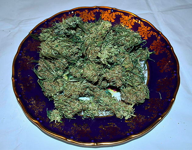 Полученный урожай