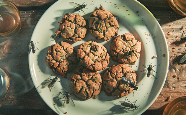 Правильное хранение каннабиса: защита от потери мощности