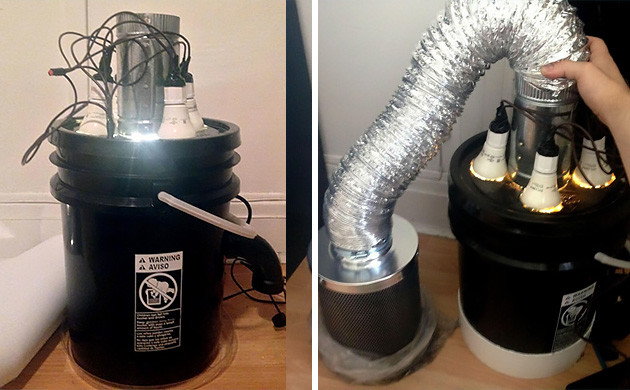 Лампы ЭСЛ для освещения Космического Ведра