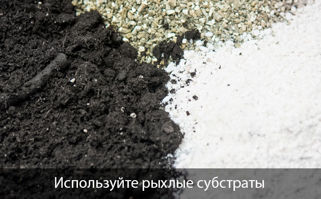 Причины дефицита калия у марихуаны