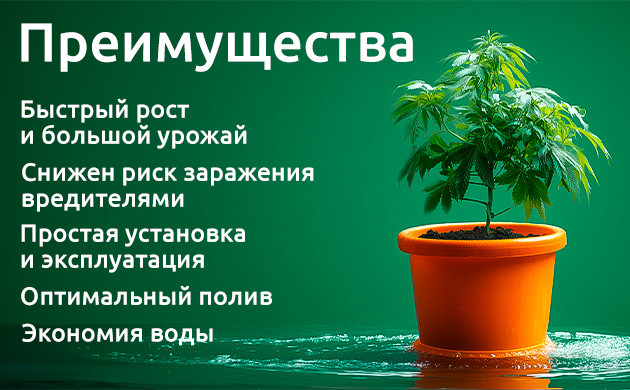 Преимущества DWC: от быстрого роста до экономии воды