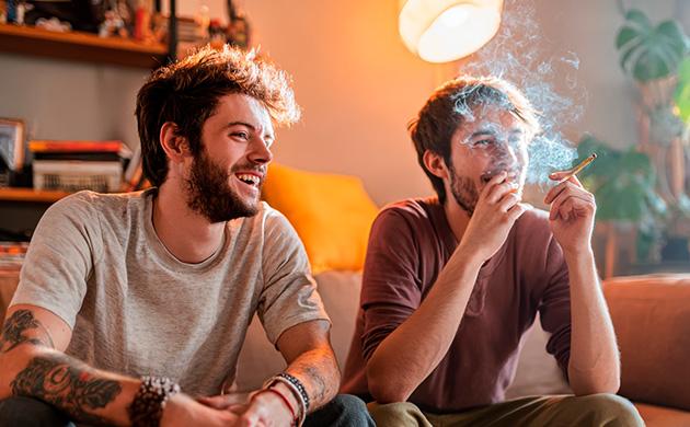 Особенности эффекта Jack Herer