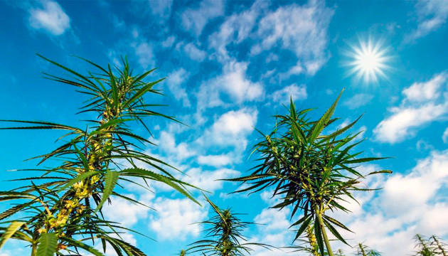 Переизбыток освещения в ауте