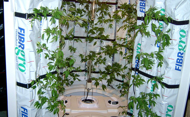 Гроубокс цилиндрической формы