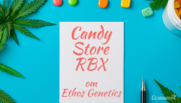 Гроурепорт сорта Candy Store RBX от Ethos Genetics