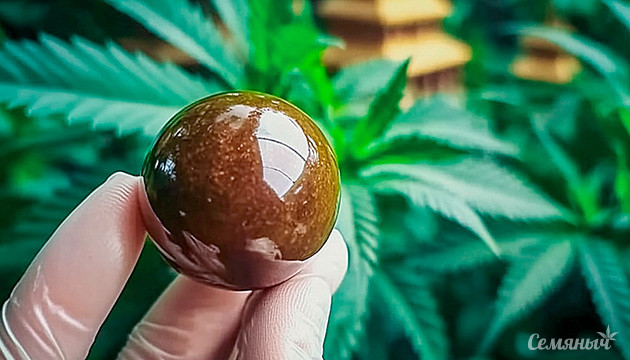 Экстракт темпл-боллы в истории Древний экстракт каннабиса и его применение