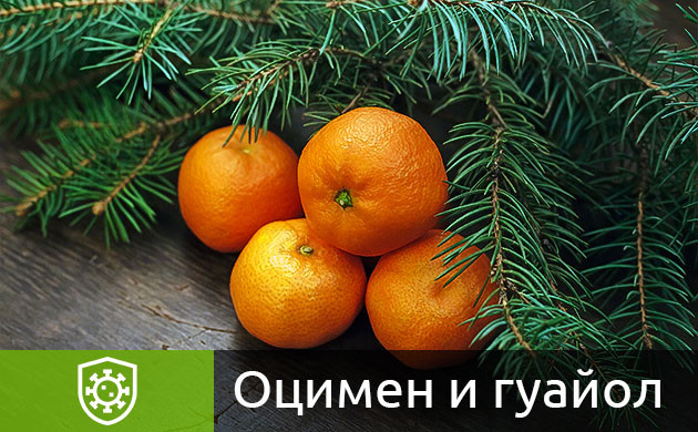 Терпены оцимен и гуайол