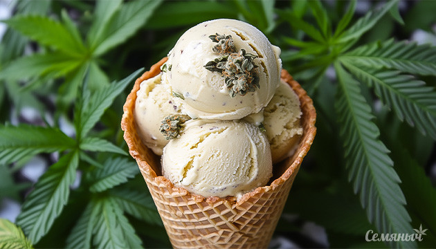 От пломбира до канна-джелато