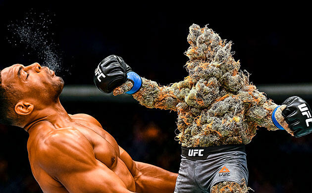 Аромат, вкус и эффект AK-48