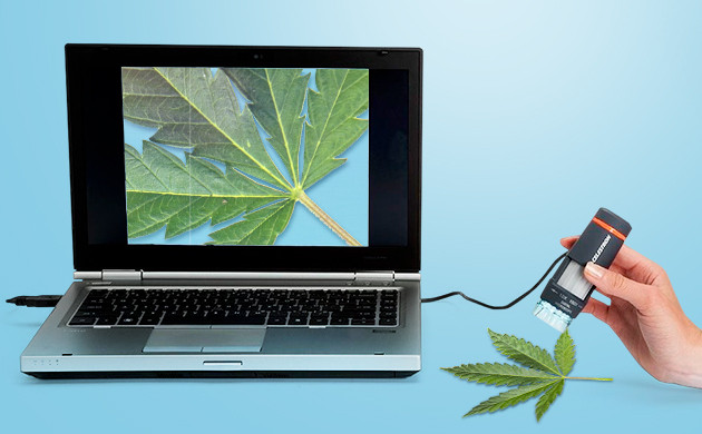 Ручные цифровые микроскопы для марихуаны