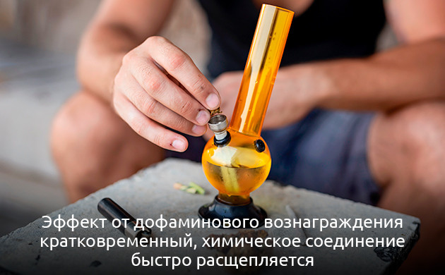 Как избежать дофаминовой ямы Уровень дофамина при употреблении марихуаны