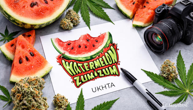 Гроурепорт сорта Watermelon Zum Zum от UKHTA