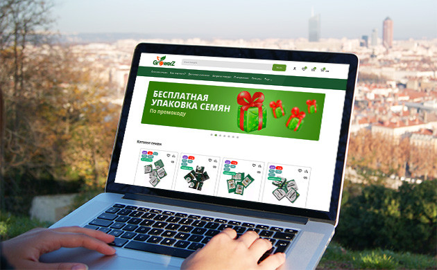 GroverZ: Качественные семена конопли от прямого поставщика GroverZ: Качественные семена от прямого поставщика