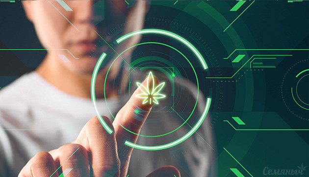 Оборудование для гроубокса