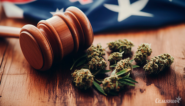 Сенат Австралии отклонил иск о легализации конопли Сенат Австралии отклонил закон о легализации конопли