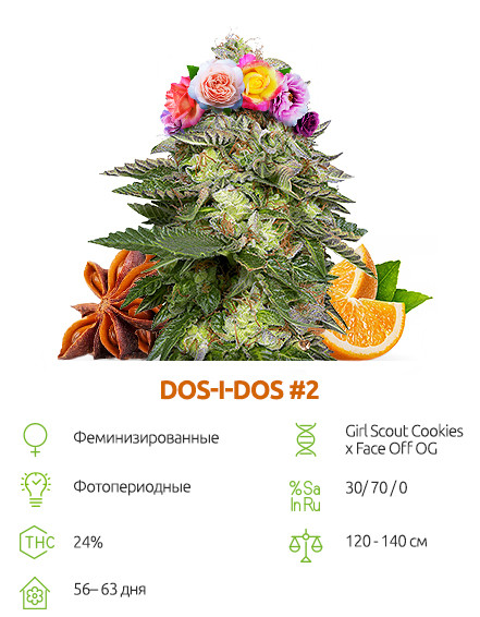 Дополнительное бонусное семя Dos-i-dos #2