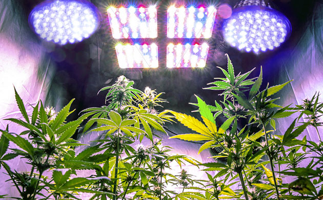 Добавление дополнительных ламп к основному свету