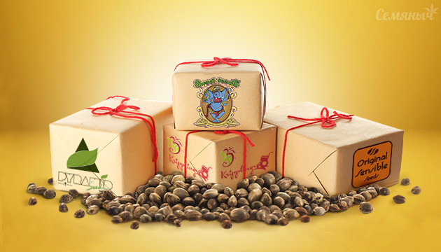 Бонусные семена конопли