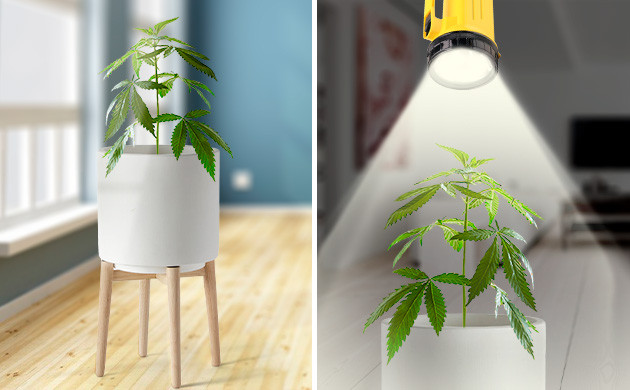 Резервное отопление для куста конопли Как согреть каннабис при отключении электричества